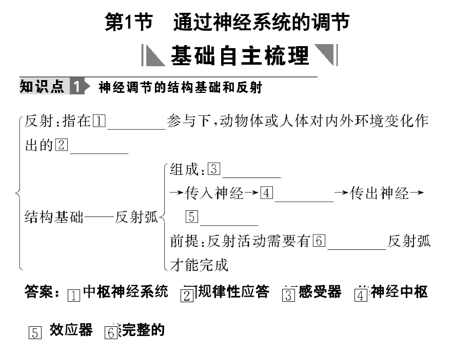 必修通过神经系统的调节课件_第4页