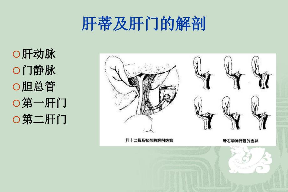 肝脏疾病课件_第4页