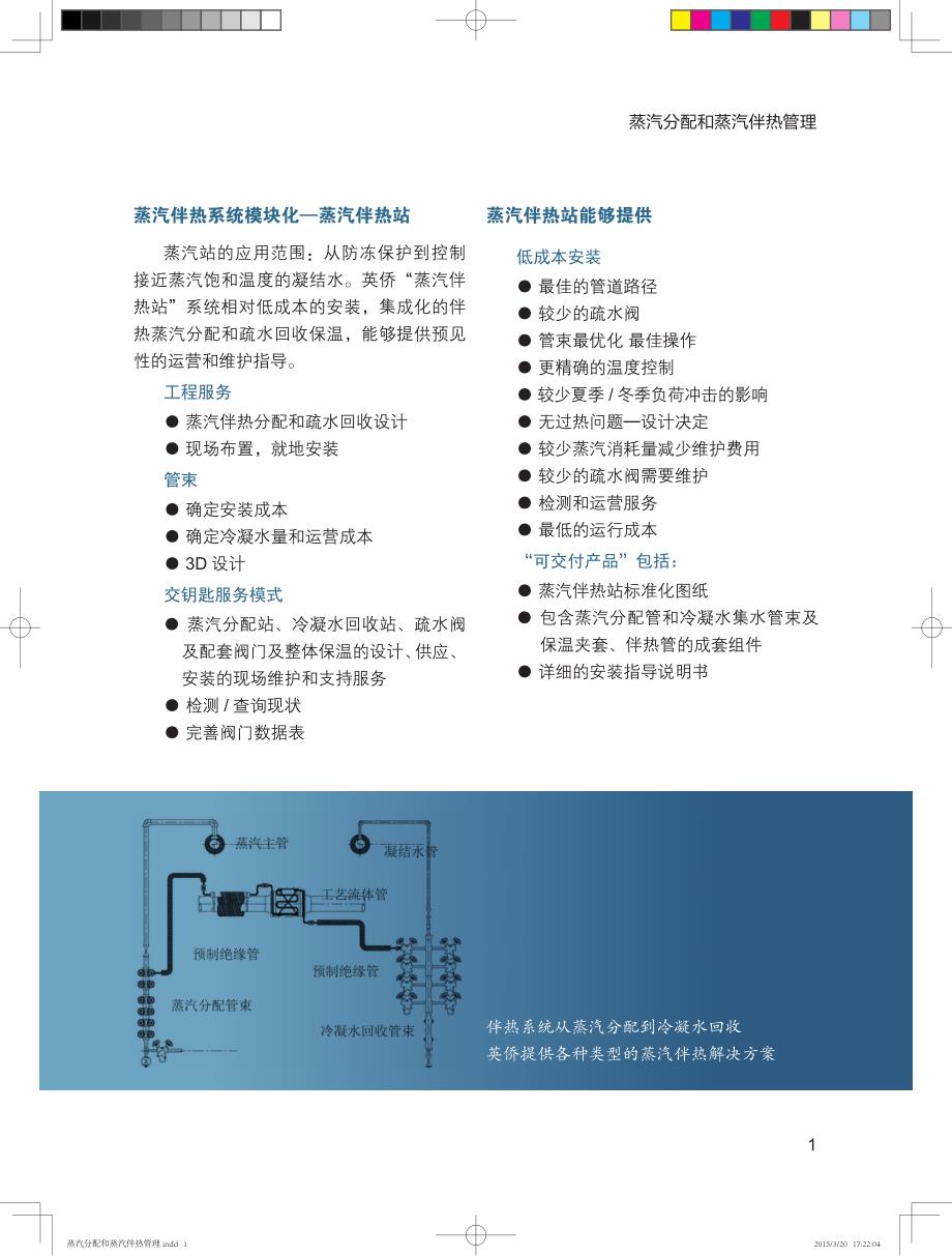 蒸汽分配与蒸汽伴热管理_第2页