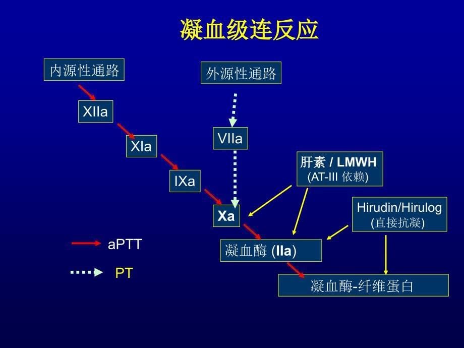 血小板减少症，ACS抗栓治疗中不应忽视的问题_陈韵岱_第5页