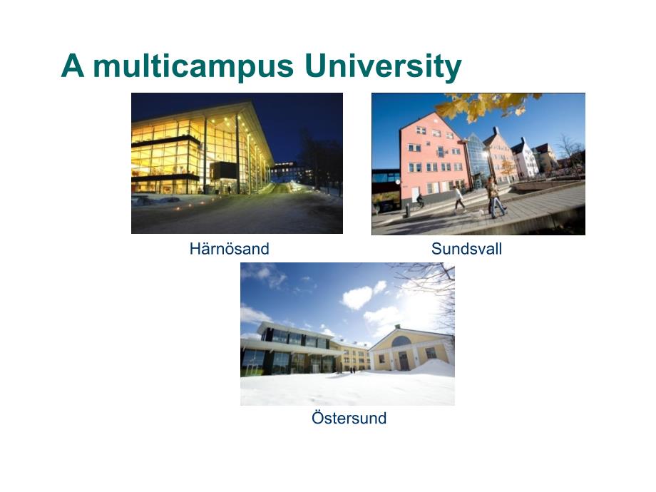 计算机科学与技术院与MidSweden合作项目介绍_第4页