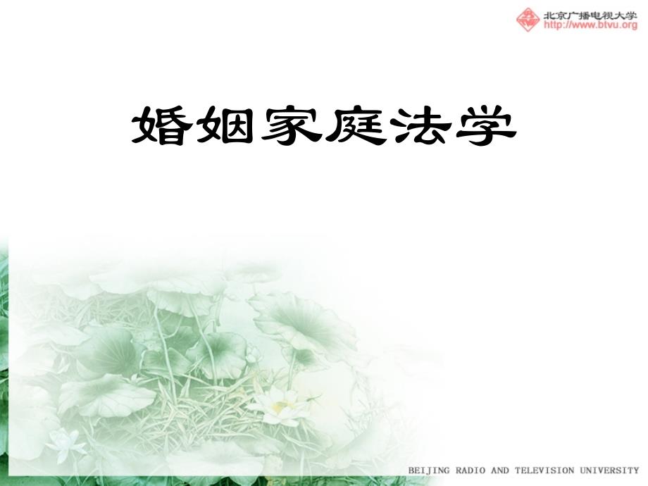 婚姻家庭法学-电子教案_第1页