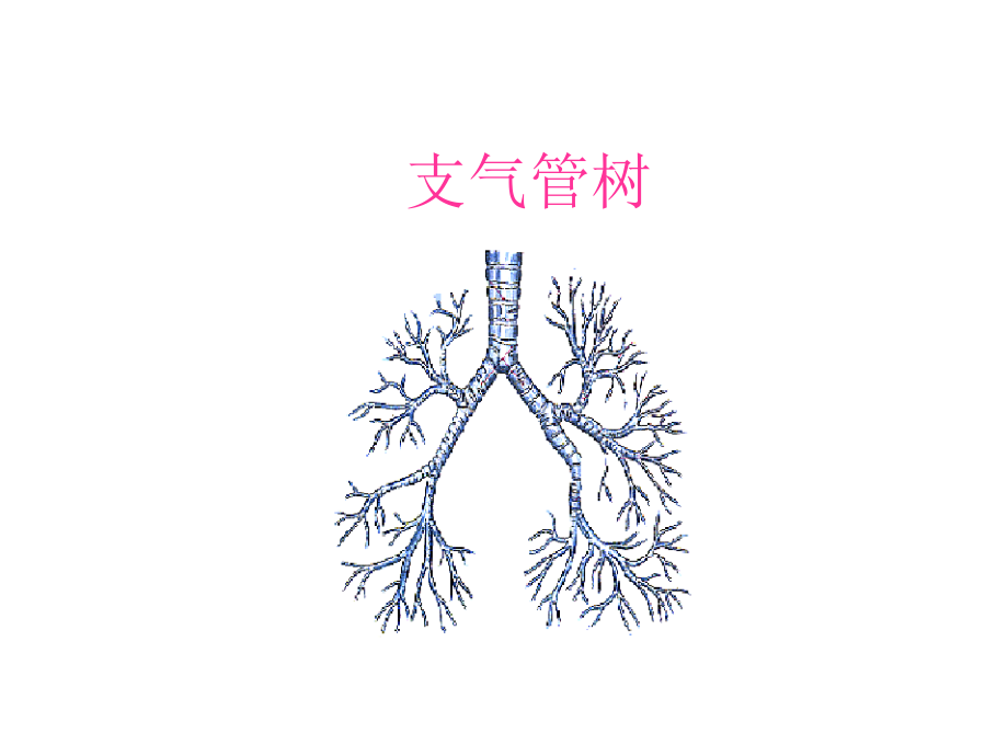 肺功能基础培训_第4页