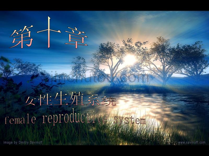组织学与胚胎学女性生殖系统_第1页