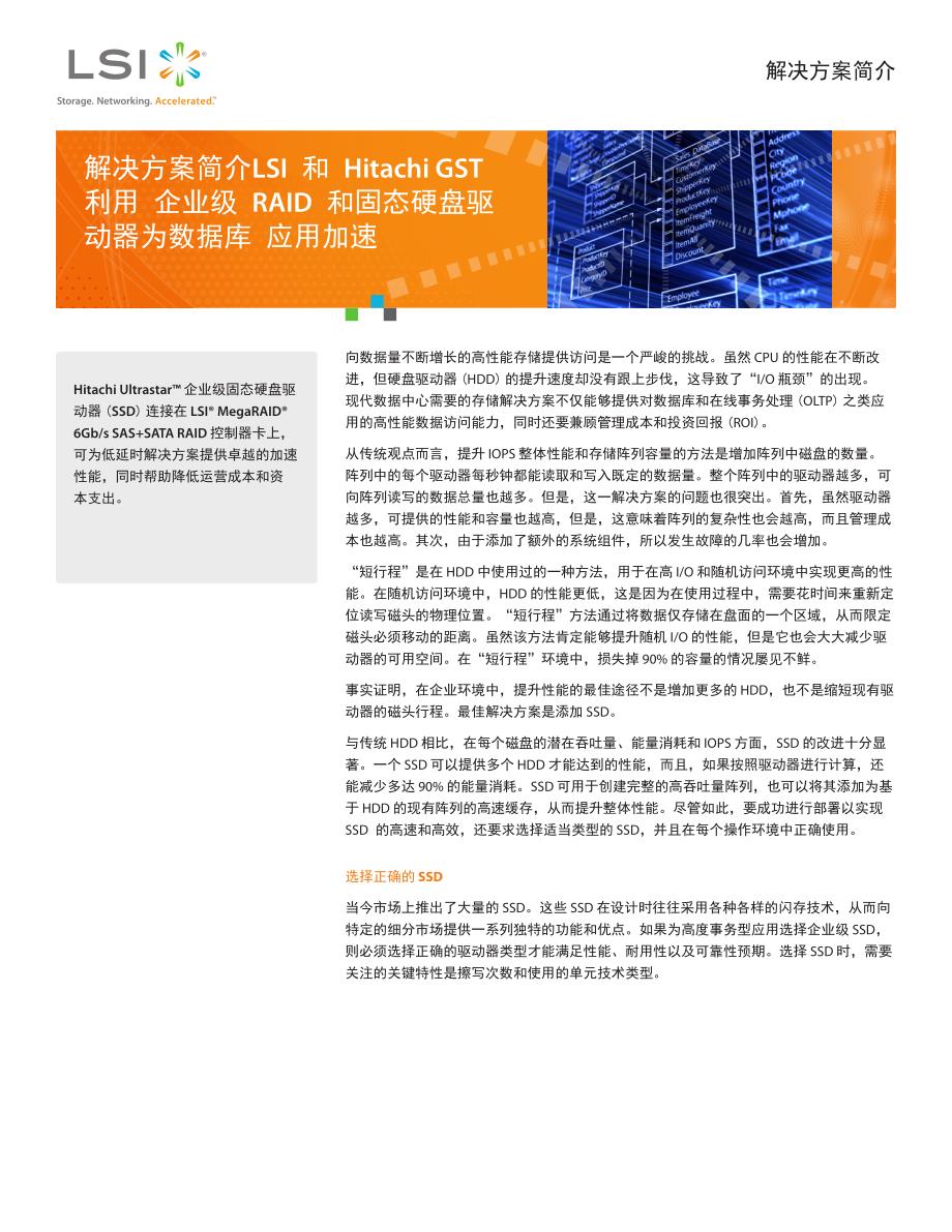 解决方案简介LSI 和Hitachi GST_第1页