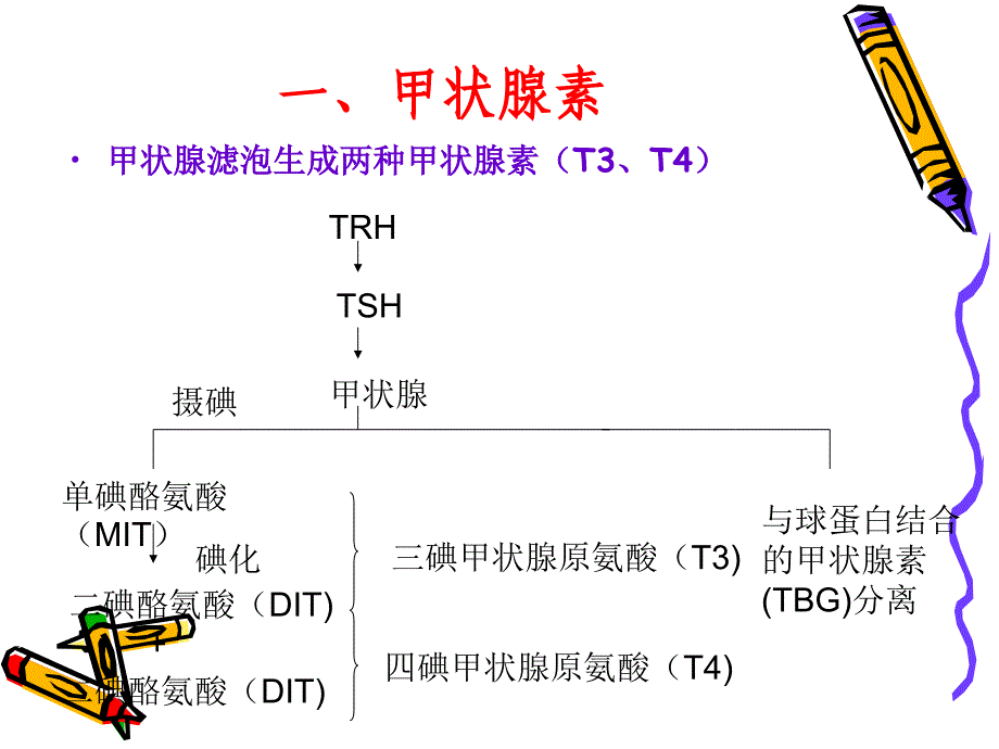 妊娠合并甲亢_第2页