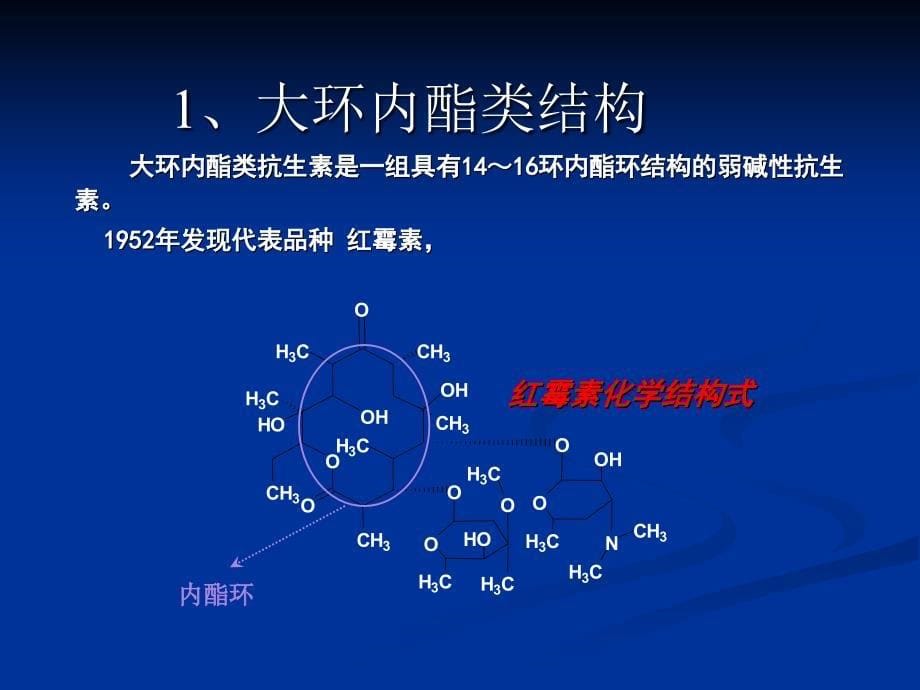 环酯红霉素干混悬剂_第5页