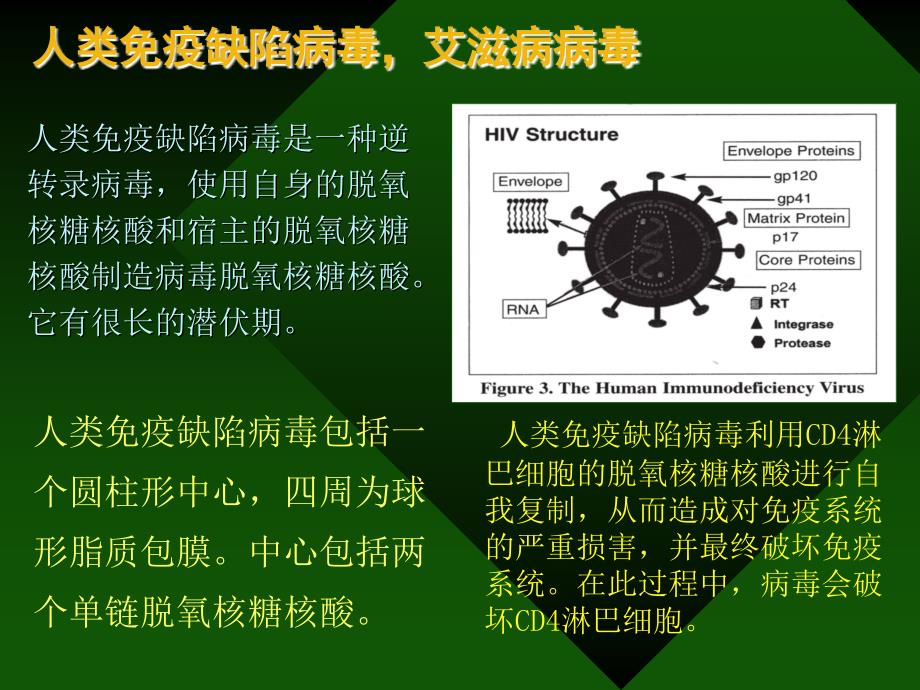 职业暴露的预防和处理_第3页