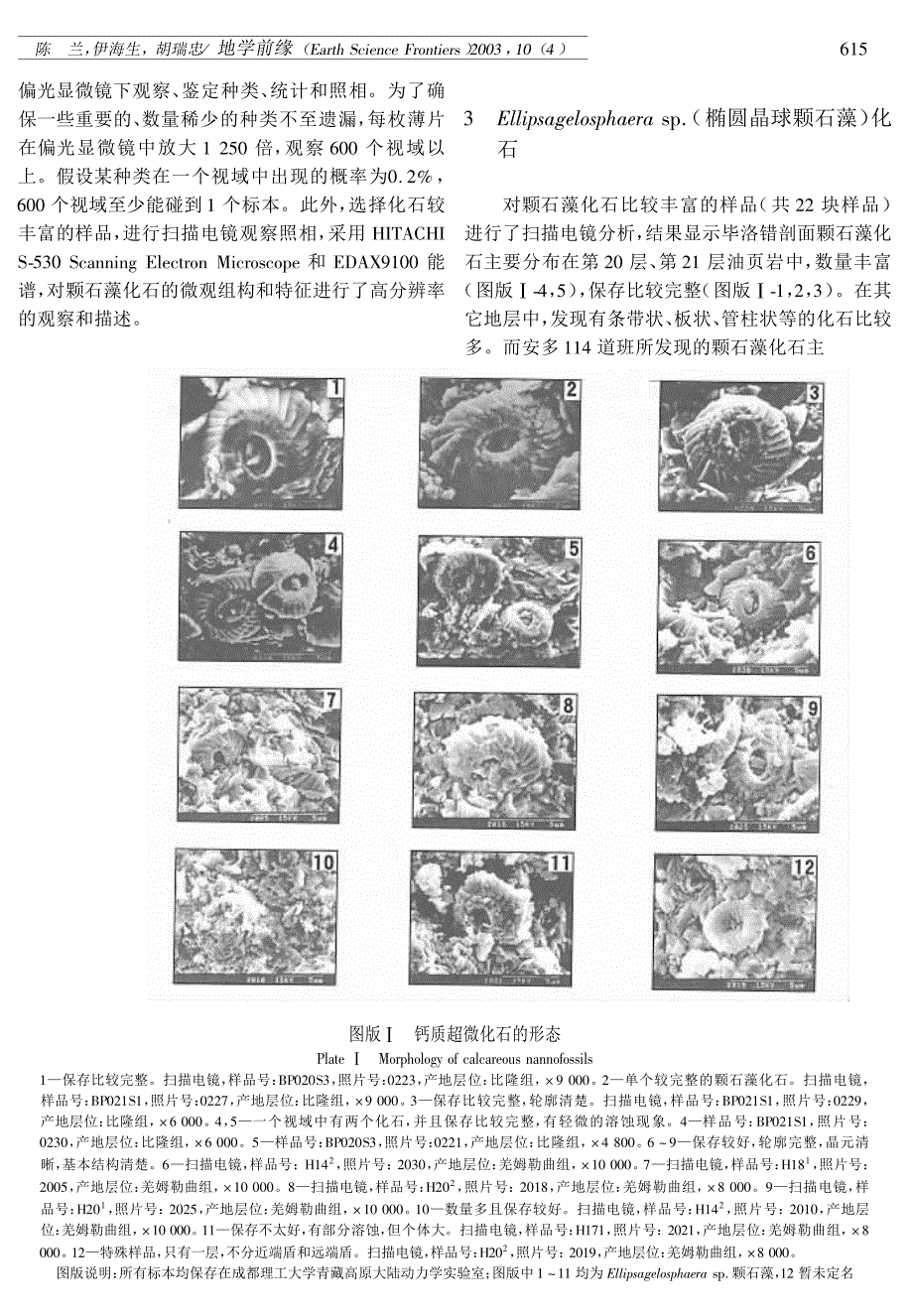 藏北羌塘地区侏罗纪颗石藻化石的发现及其意义_第3页