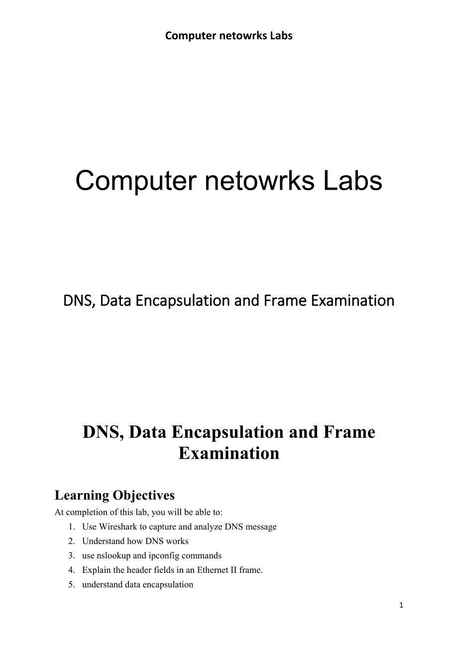 计网实验dns, data encapsulation and frame examination_第1页