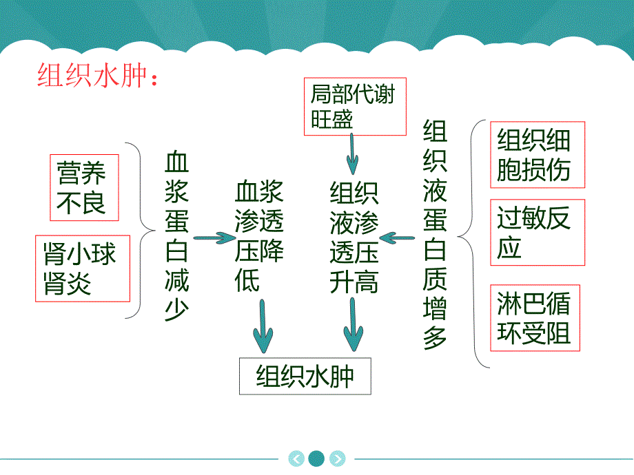 通过神经系统的调节_第2页