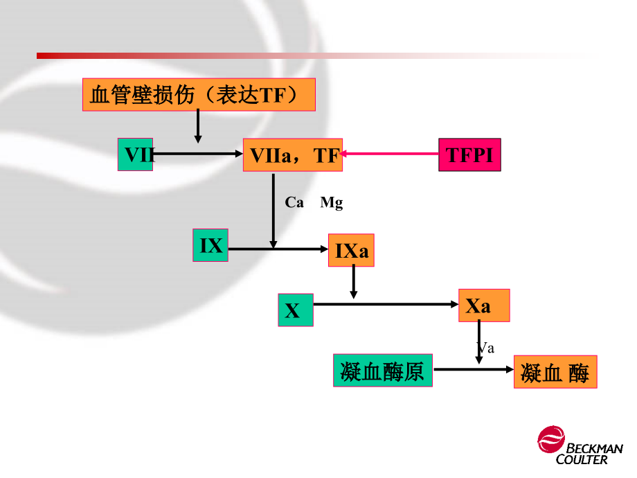 出血性疾病的临床与实验室诊断_第4页