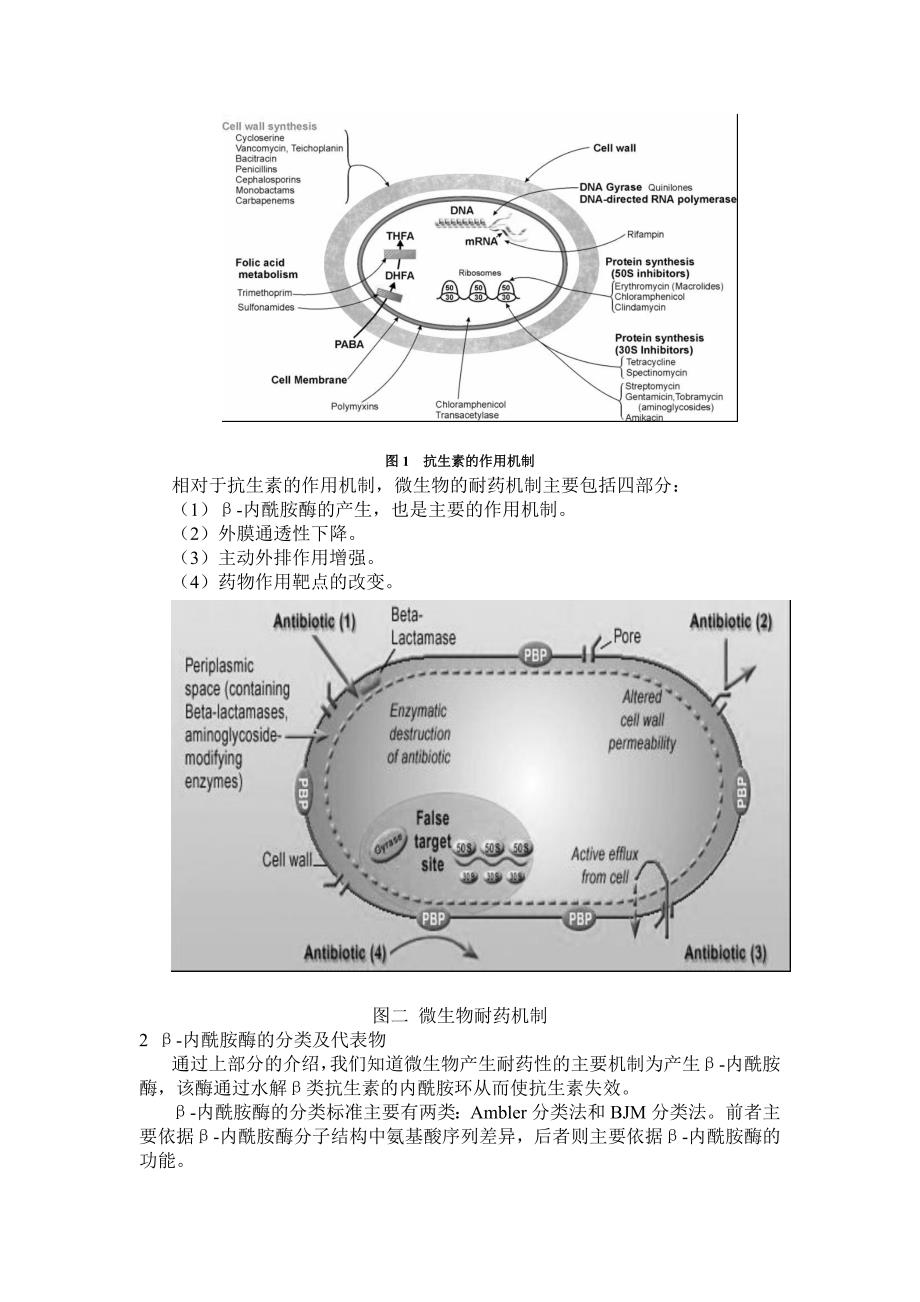 β-内酰胺酶抑制剂研究进展_第2页