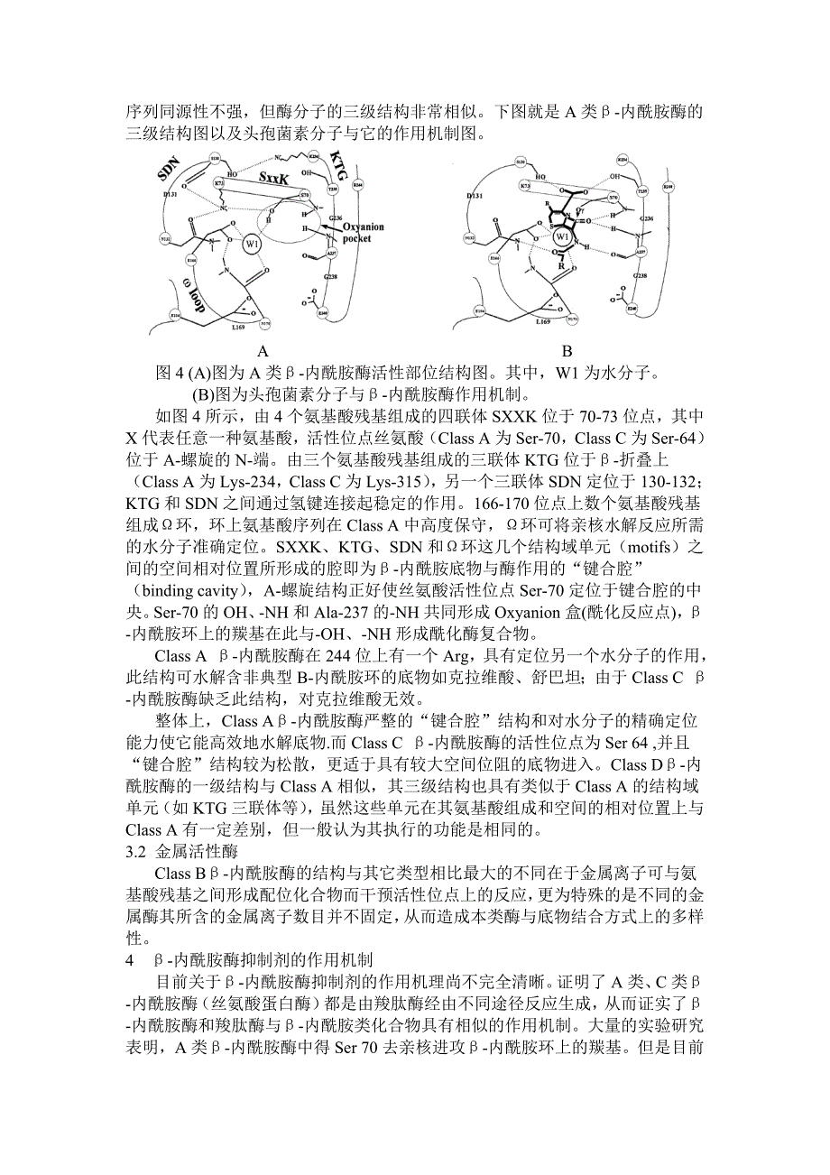 β-内酰胺酶抑制剂研究进展_第4页