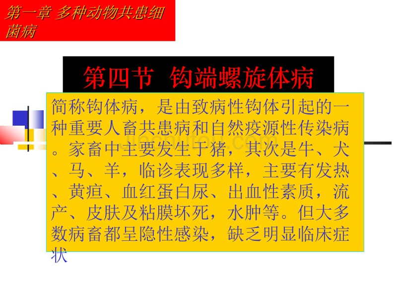 钩端螺旋体病1_第1页