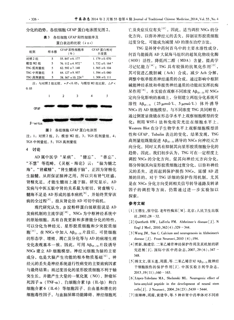 何首乌有效成分二苯乙烯苷对Aβ25-31诱导神经干细胞定向分化的影响 (论文)_第4页