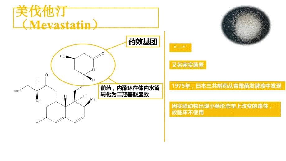 他汀类药物发展及临床使用_第5页