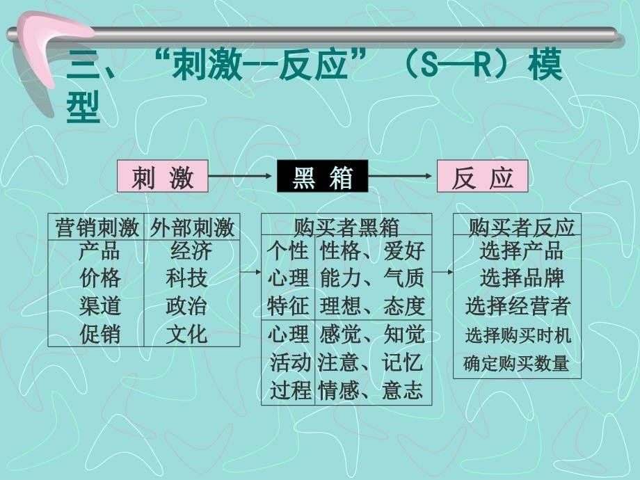 消费者行为研究_第5页