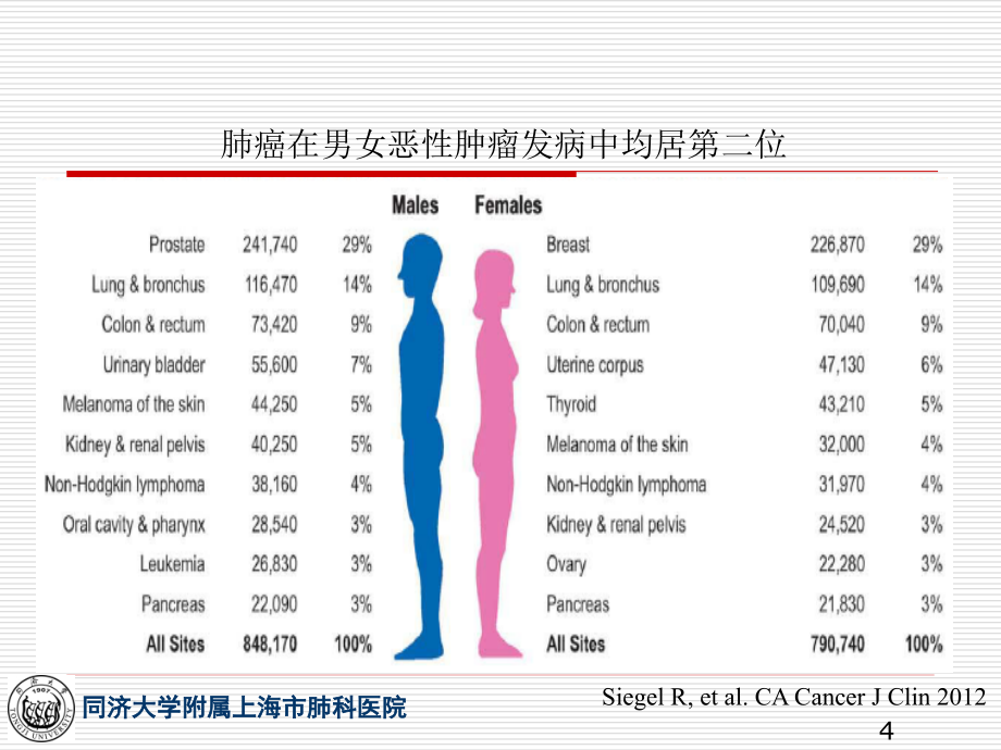 原发性支气管肺癌新教材_第4页