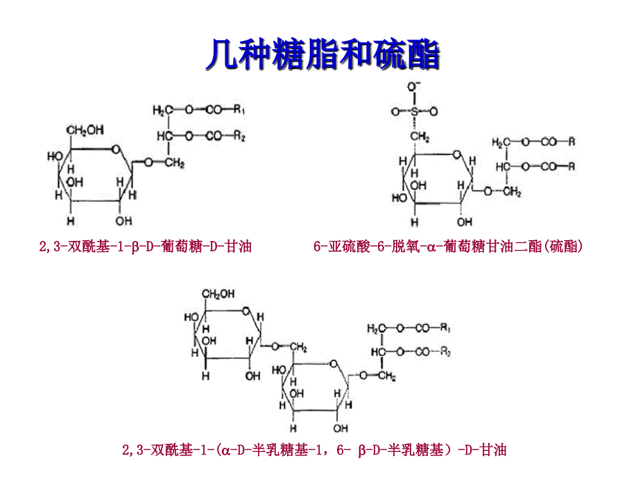 脂肪在体内的消化吸收和转运_第4页