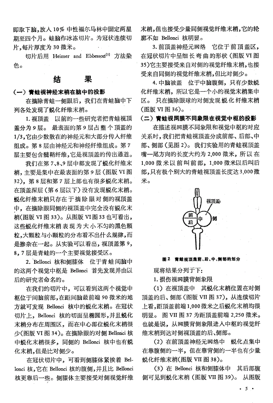 青蛙视觉中枢定位的研究_第2页