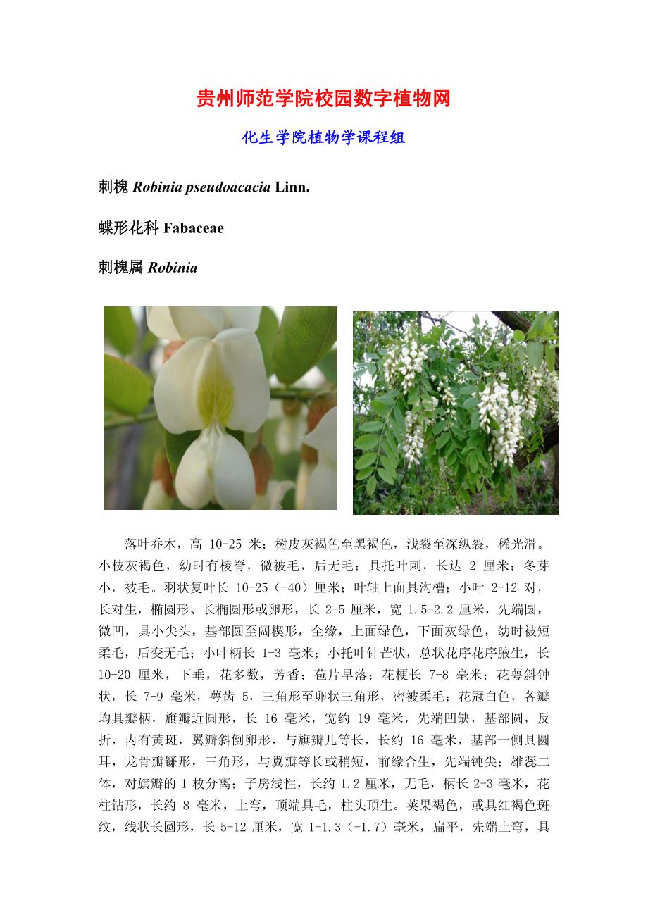 贵州师范学院校园数字植物网_第1页