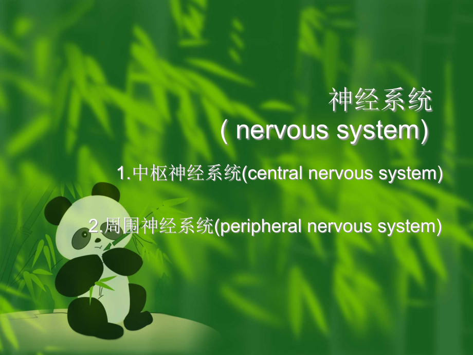 神经系统的体表定位_第2页