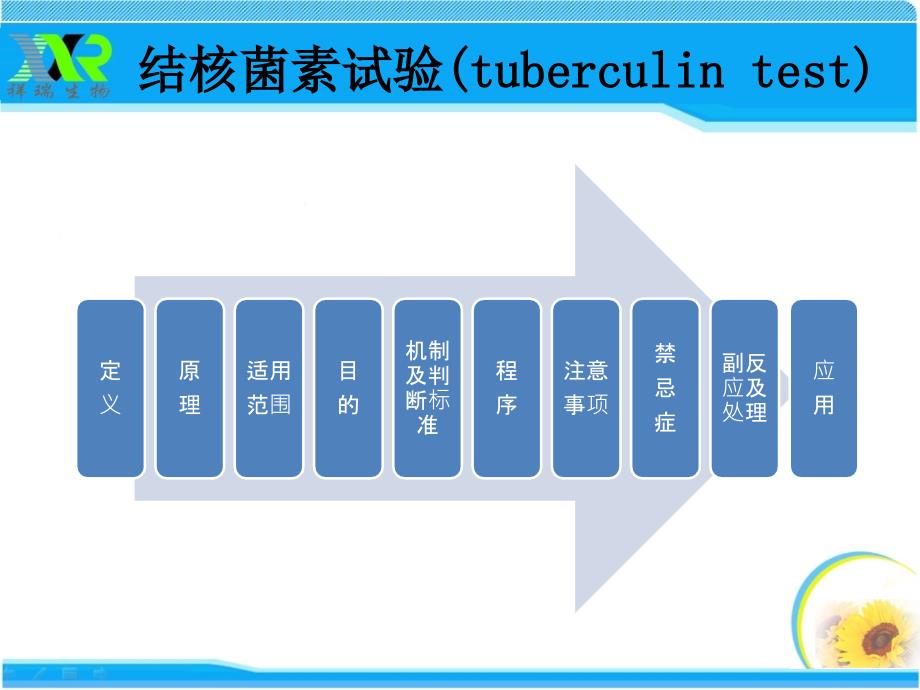 结核菌素PPD培训资料_第1页