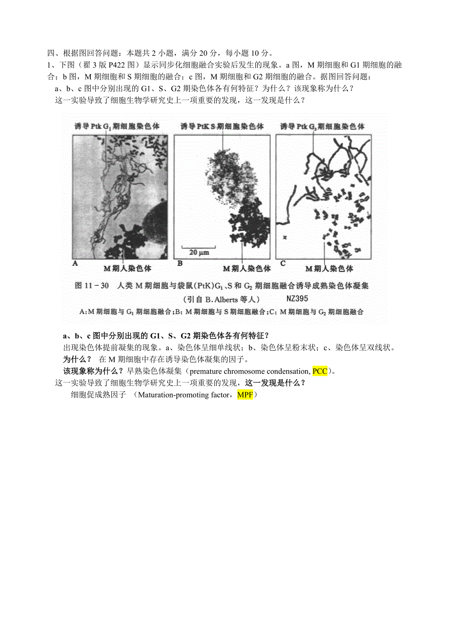 细胞生物学 检查题答案(技术)_第3页