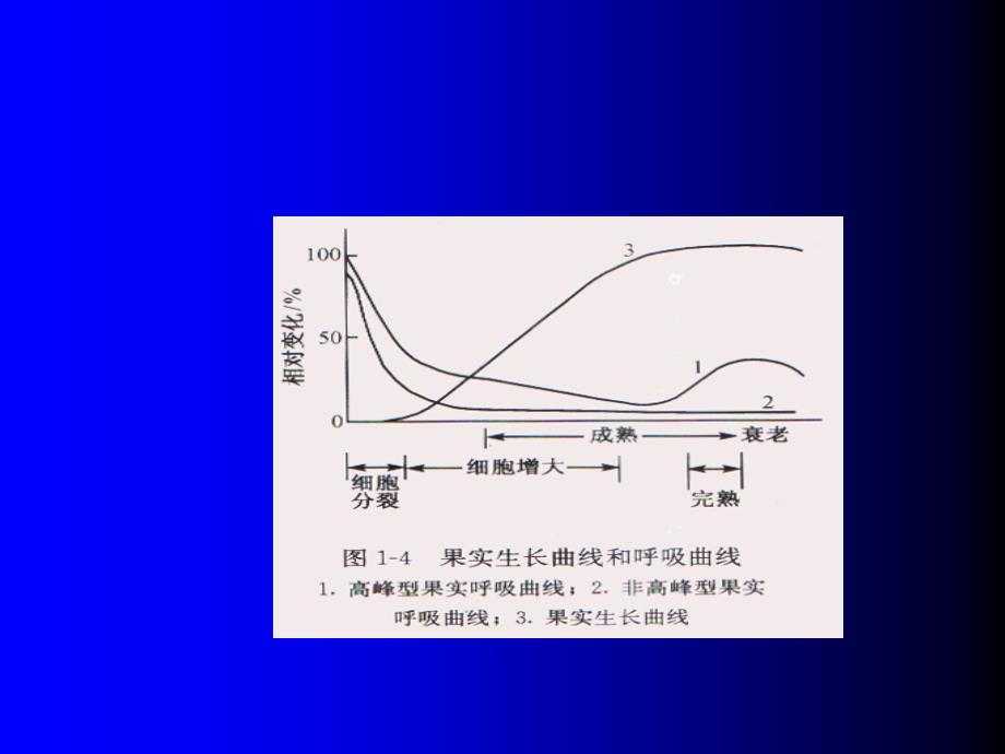 1.3  采后生理对果蔬贮运的影响_第4页