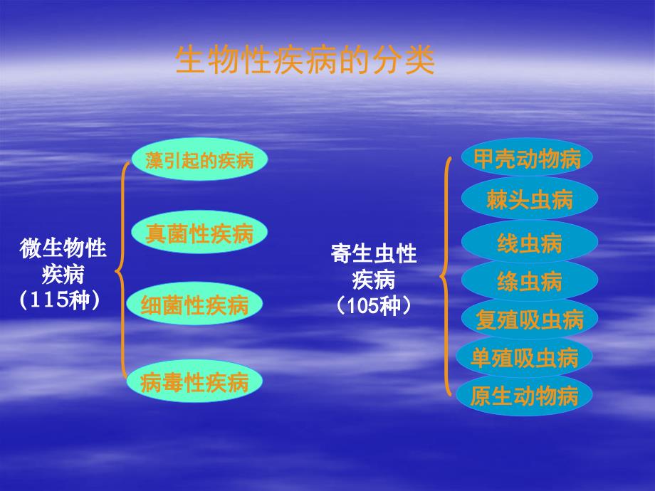 水产动物疾病及药物防治技术_第4页