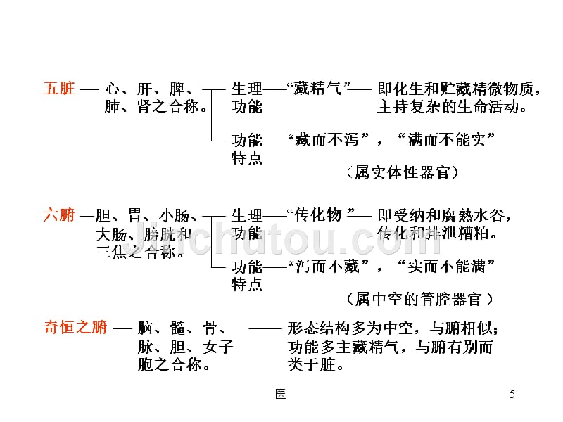 中医基础理论脏象_第5页