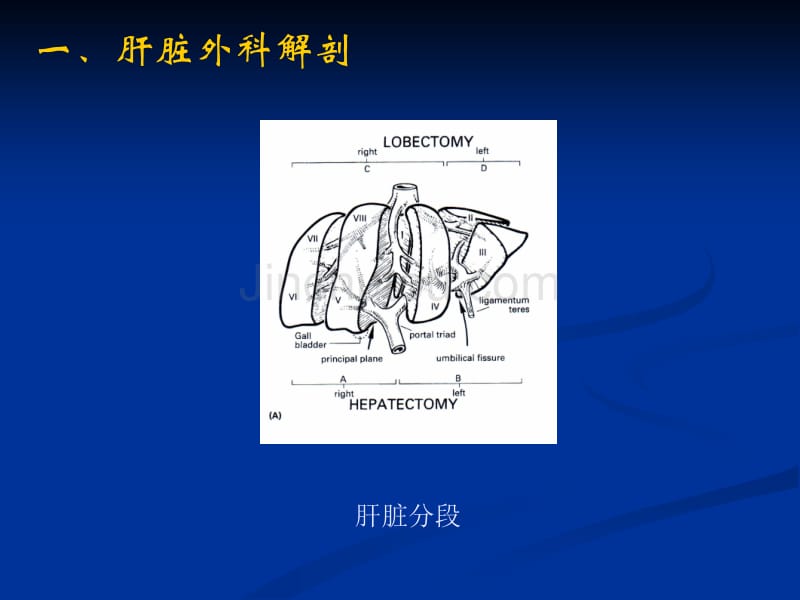 肝切除的并发症_第2页