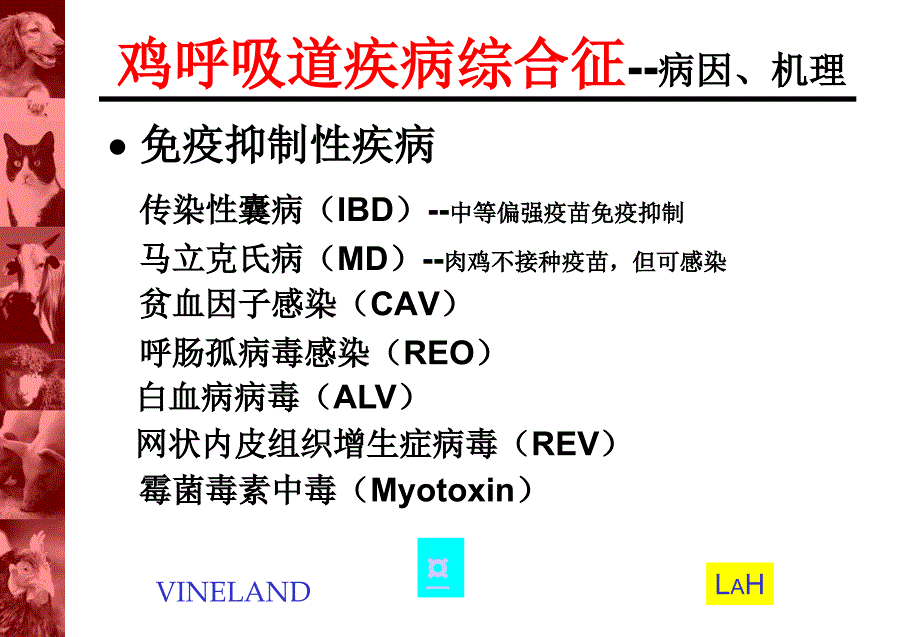 鸡呼吸道疾病综合征刘光成_第3页