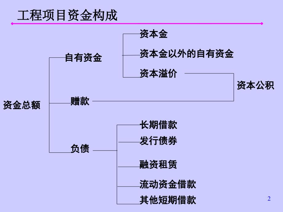 项目资金的筹措及其他_第2页