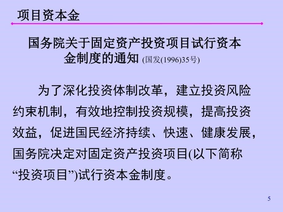 项目资金的筹措及其他_第5页