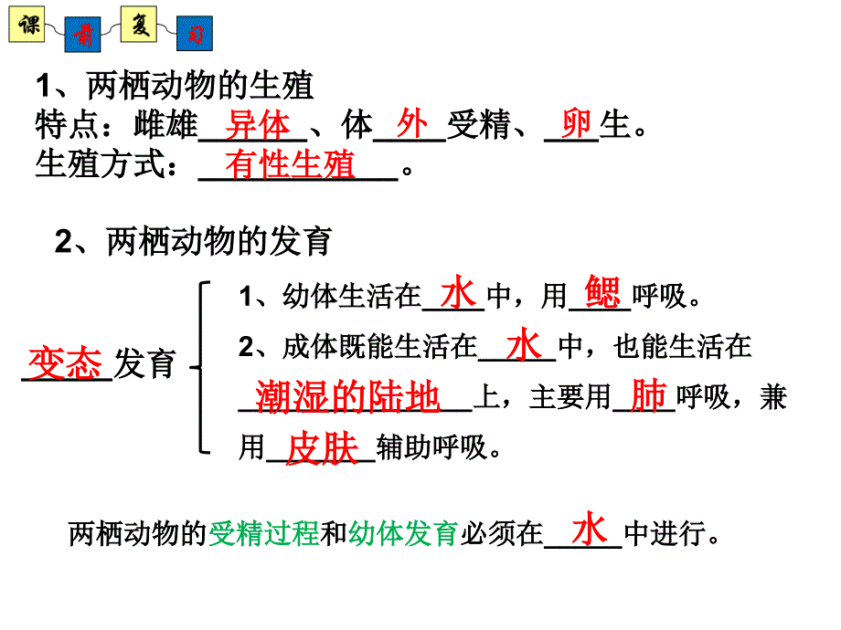 鸟的生殖和发育(济南版)_第1页