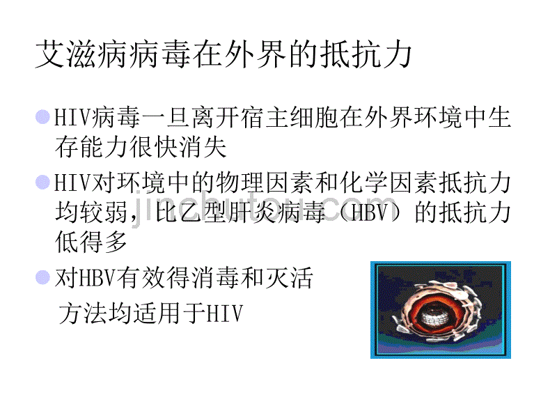 母婴阻断知识培训_第3页