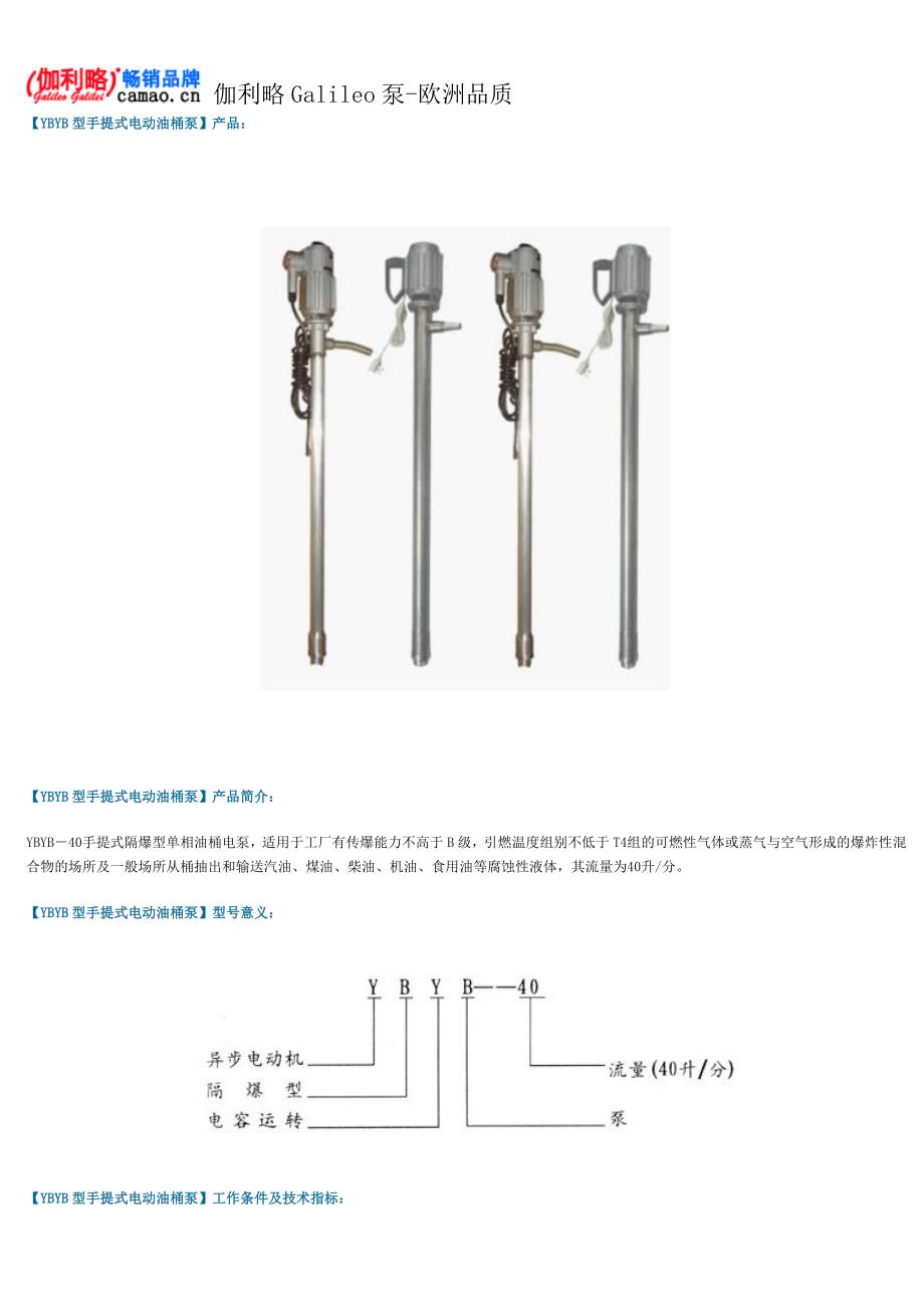 手提式电动油桶泵型号及参数_第1页