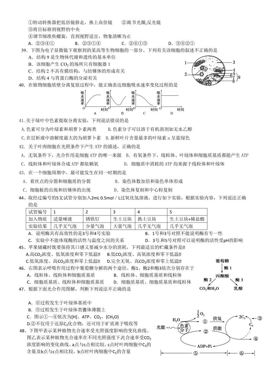 河北省辛集三中高三生物 阶段测试题（2）_第5页