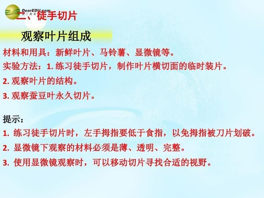 江苏省连云港市东海晶都双语学校七年级生物下册 生物体有相似的结构层次复习课件 苏科版_第5页