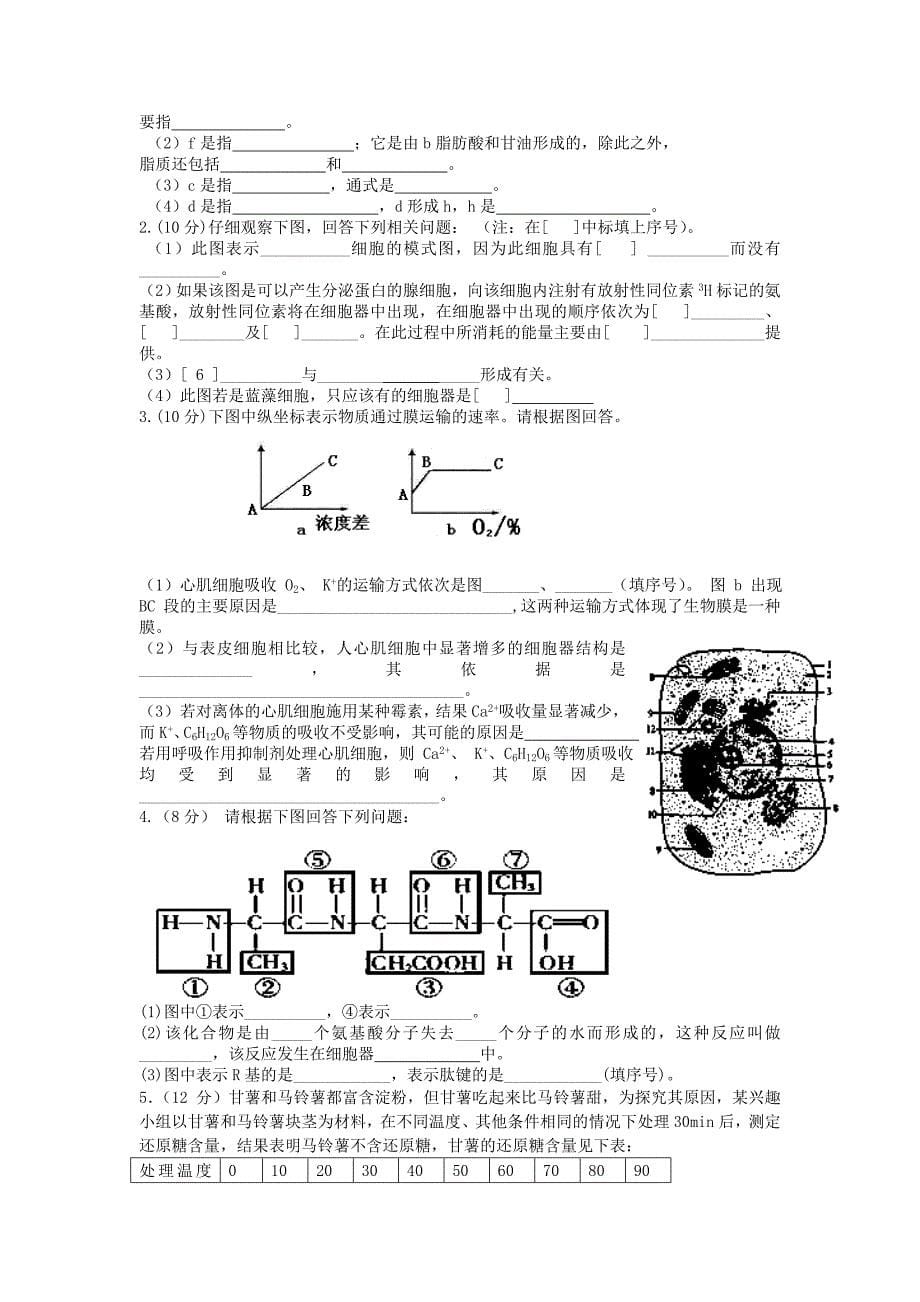 甘肃省兰州一中2013-2014学年高一生物上学期期末考试试题新人教版_第5页