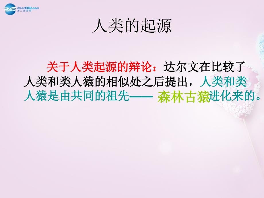 山东省青岛市即墨市长江中学七年级生物下册 第一节 人的起源和发展教学课件 新人教版_第4页