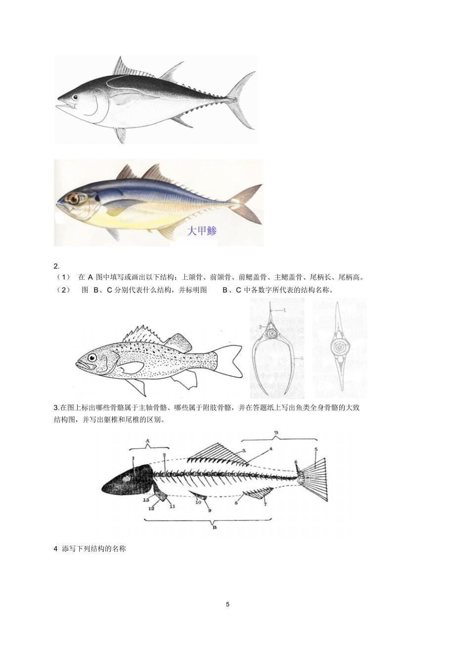 鱼类学-习题集_第5页