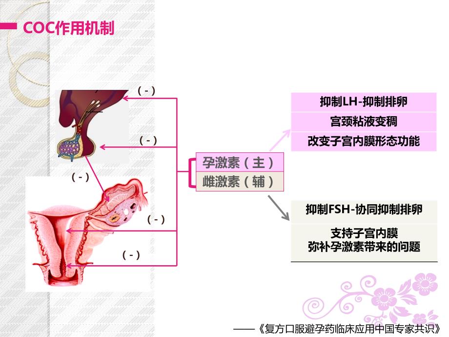 雌孕激素制剂在妇科疾病中的应用_第4页