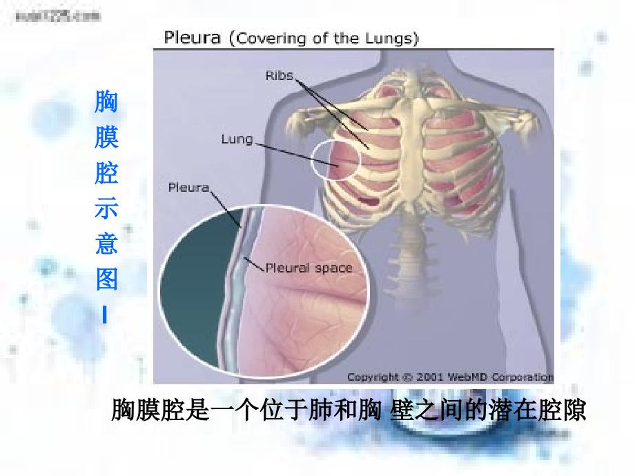 胸腔闭式引流管的护理全面_第4页