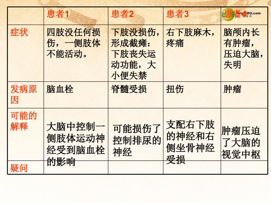 七年级生物下册 6.2 神经系统的组成课件2 新人教版_第3页