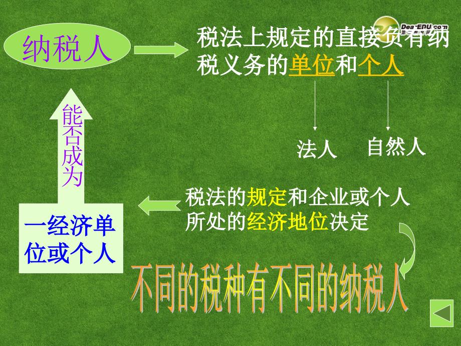 湖南省师范大学附属中学高中政治 依法纳税是公民的基本义务课件 新人教版必修1_第3页