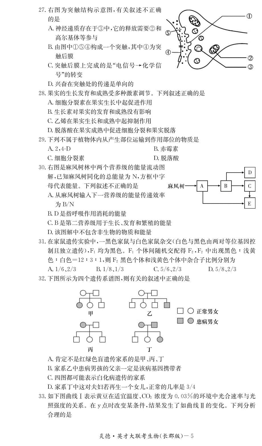 湖南省高三生物第五次月考试题（pdf）_第5页