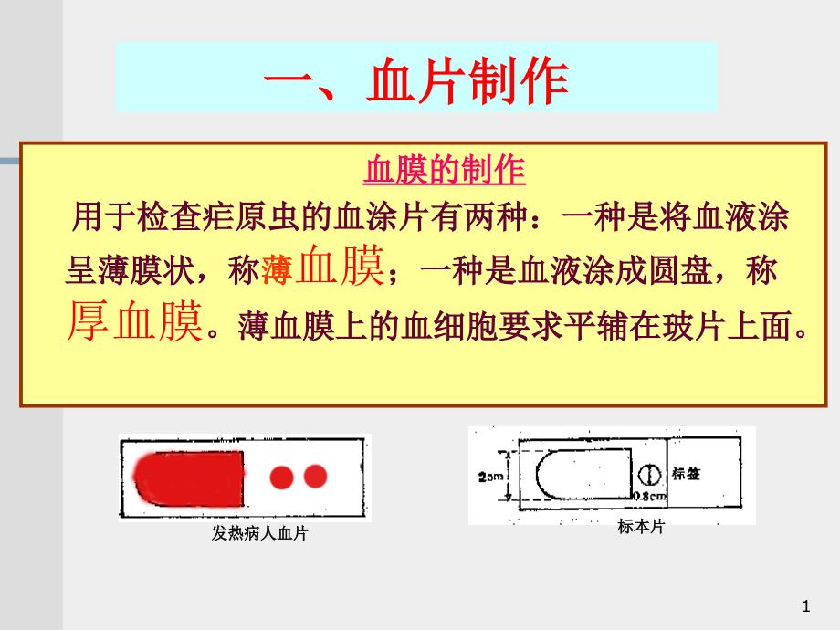 血片制作染色和血检质量控制_第1页